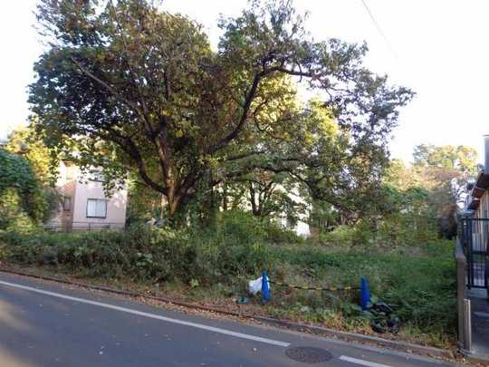 Local land photo. Local (1)