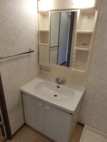 Washroom. Beautiful independent wash basin