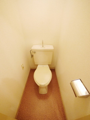 Toilet. Toilet
