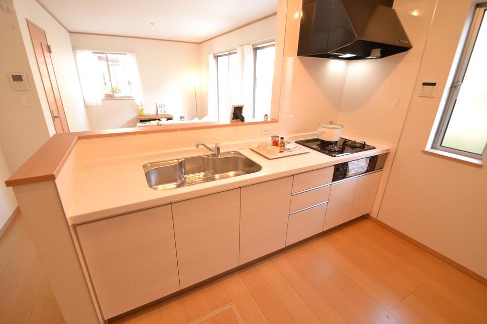 Kitchen. Indoor (11 May 2013) Shooting