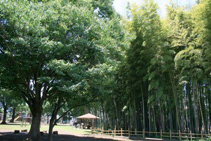 park. Until the bamboo shoots park 940m