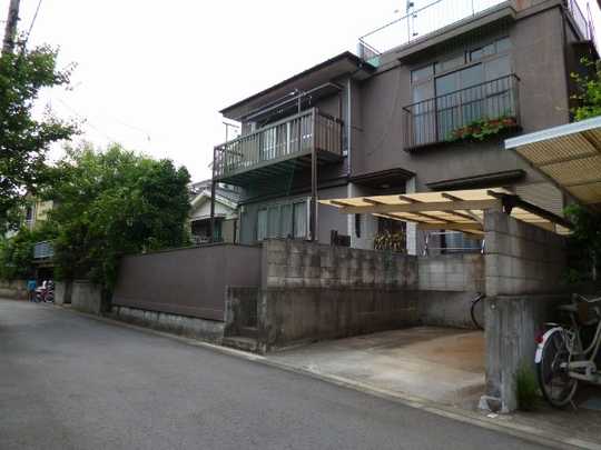 Local land photo. Appearance 1