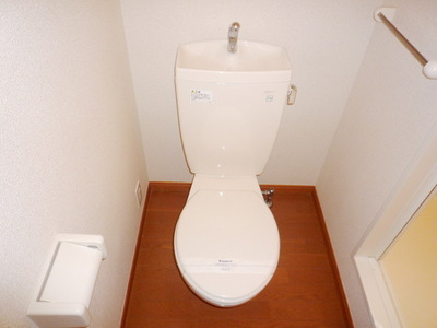 Toilet. Toilet with cleanliness