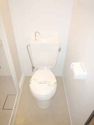 Toilet. Western-style toilet