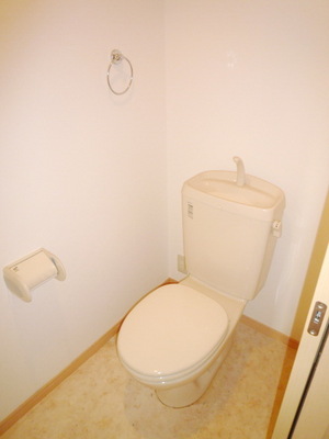 Toilet. Toilet with cleanliness