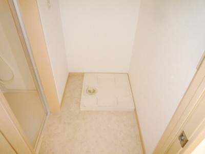 Other room space. Washing machine in the room