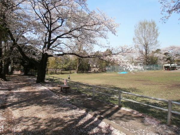 Other. Takiyama park