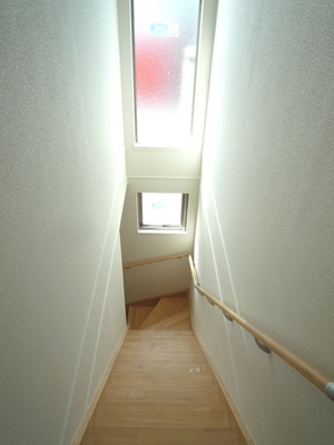 Entrance. Entrance stairs