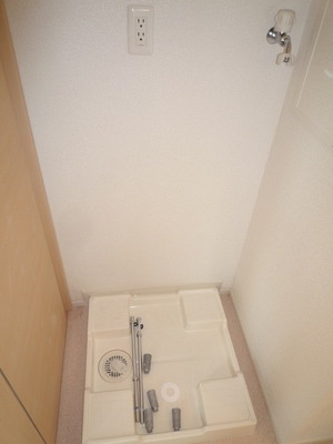 Other room space. Washing machine in the room