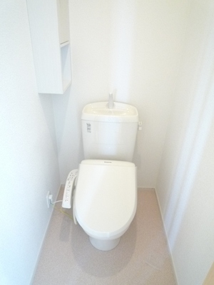 Toilet. Warm water washing toilet seat