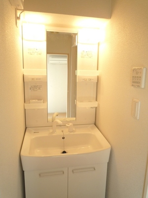 Washroom. Shampoo wash basin