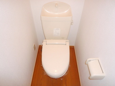 Toilet. Your hand-wash