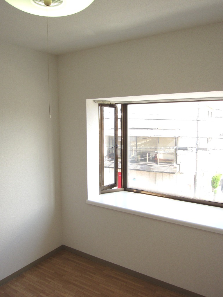 Living and room. Not reflected in the photograph with closet