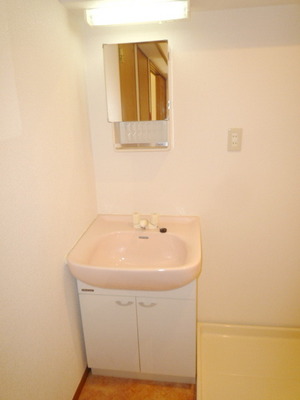 Washroom. Wash basin