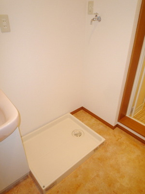 Other room space. Washing machine in the room