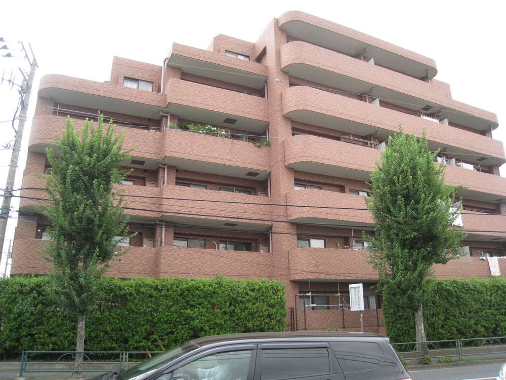 Local appearance photo. Local (September 2013) taken from the south side