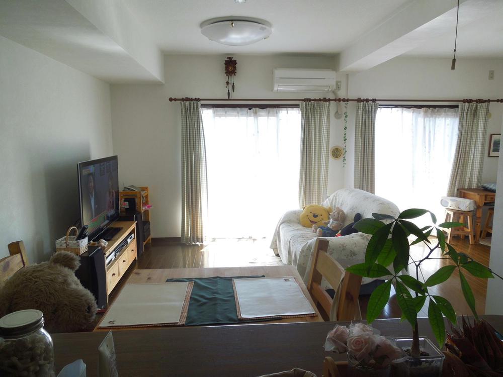 Living. Indoor (10 May 2013) Shooting