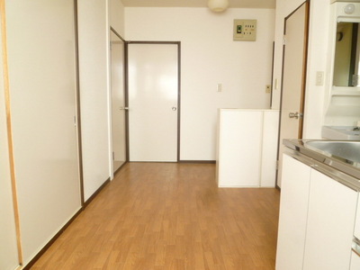 Living and room. DK space