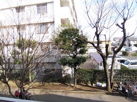 View. Landscape from the building