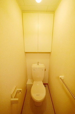 Toilet. Same type