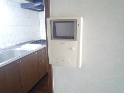 Security. TV Monitahon