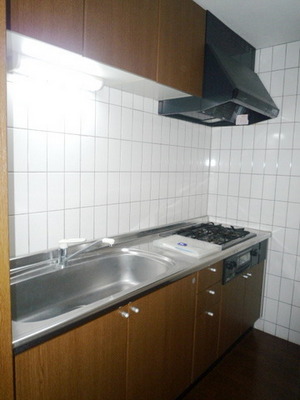 Kitchen. System kitchen