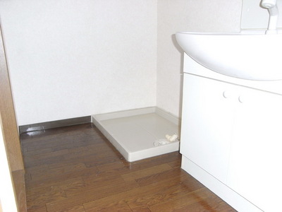 Washroom. Indoor Laundry Storage