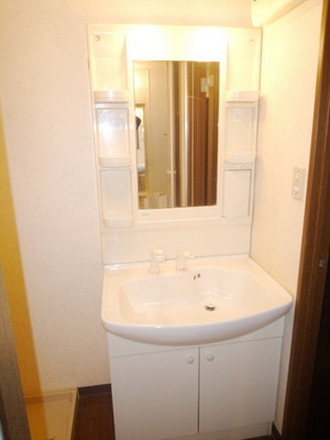 Washroom. Independent wash basin