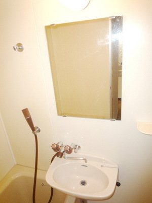 Washroom. There washbasin