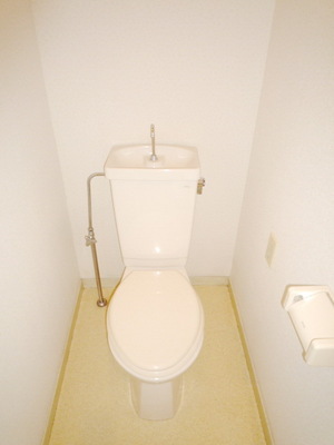 Toilet. Western-style toilet
