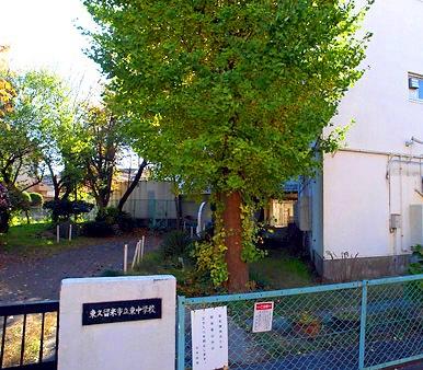 Junior high school. Higashikurume Tatsuhigashi until junior high school 1920m