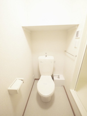 Toilet. Same type