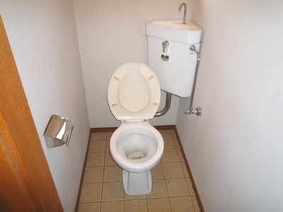 Toilet. Bathroom