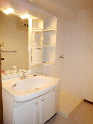 Washroom. Wash basin