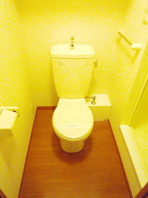 Toilet. Toilet with cleanliness