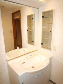 Washroom. Wash basin