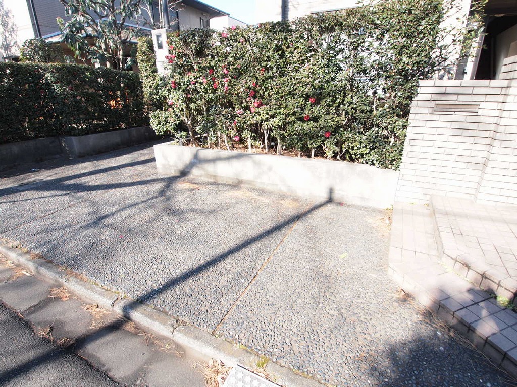 Parking lot. Parking spaces There are two cars