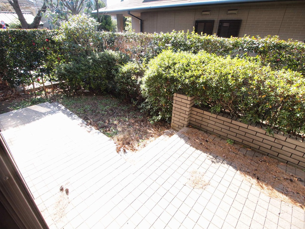 Garden. Also sunny first floor of the garden