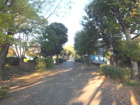 Other local. Local (November 16, 2013) Shooting