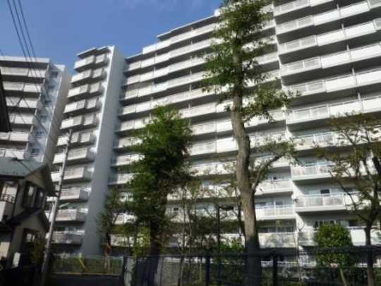 Local appearance photo. B Togaikan