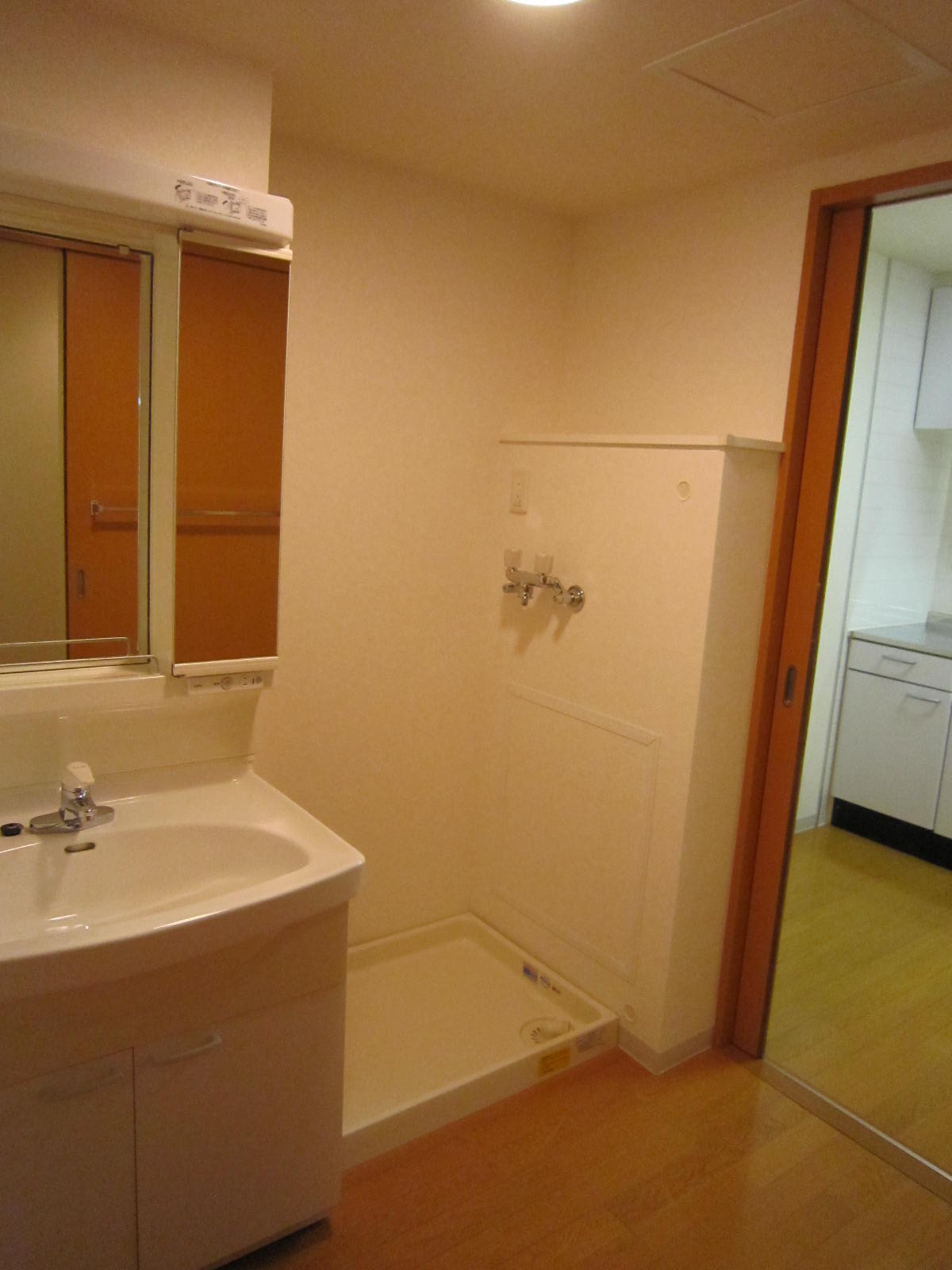 Washroom. Bathroom vanity, Laundry Area