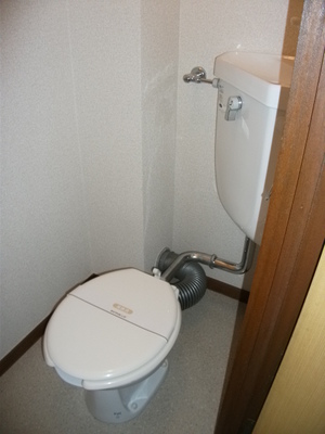 Toilet. ● toilet ●