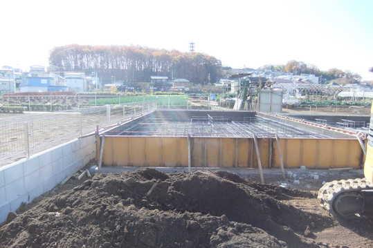 Other local. Local Photos