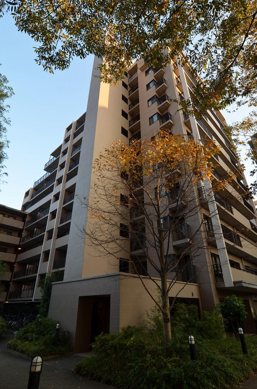 Local appearance photo. Local (11 May 2013) Shooting