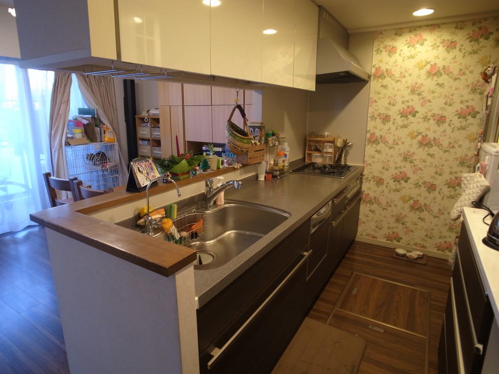 Kitchen. Indoor (12 May 2013) Shooting