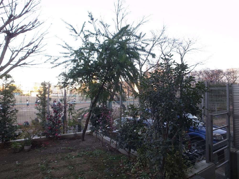 Garden. Local (12 May 2013) Shooting