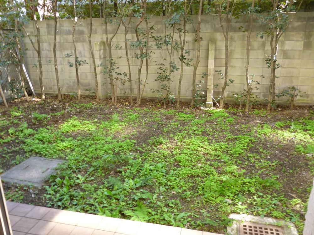 Garden. Garden area / 42.50 sq m