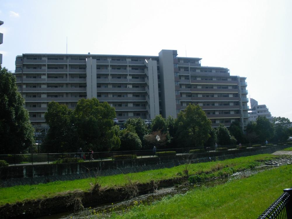 Local appearance photo. Local (12 May 2013) Shooting