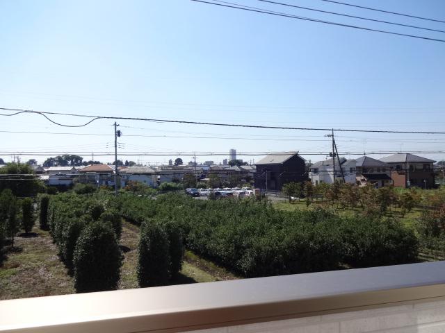 View photos from the dwelling unit. J Building