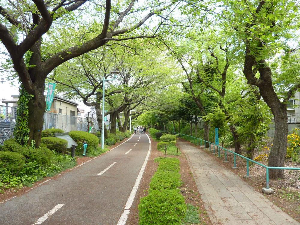 Other Environmental Photo. Tamako bicycle 140m until the road